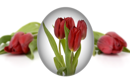 Tulips flower easter egg painting