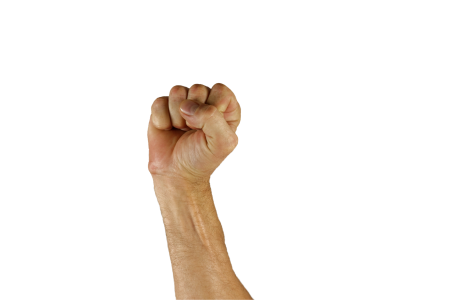 Sign language victory human