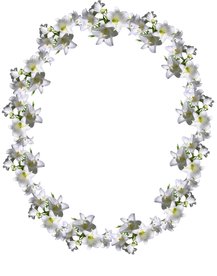 Floral decoration cut out isolated