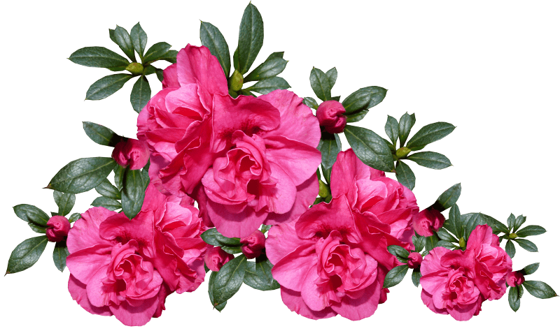 Garden arrangement cut out