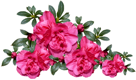 Garden arrangement cut out