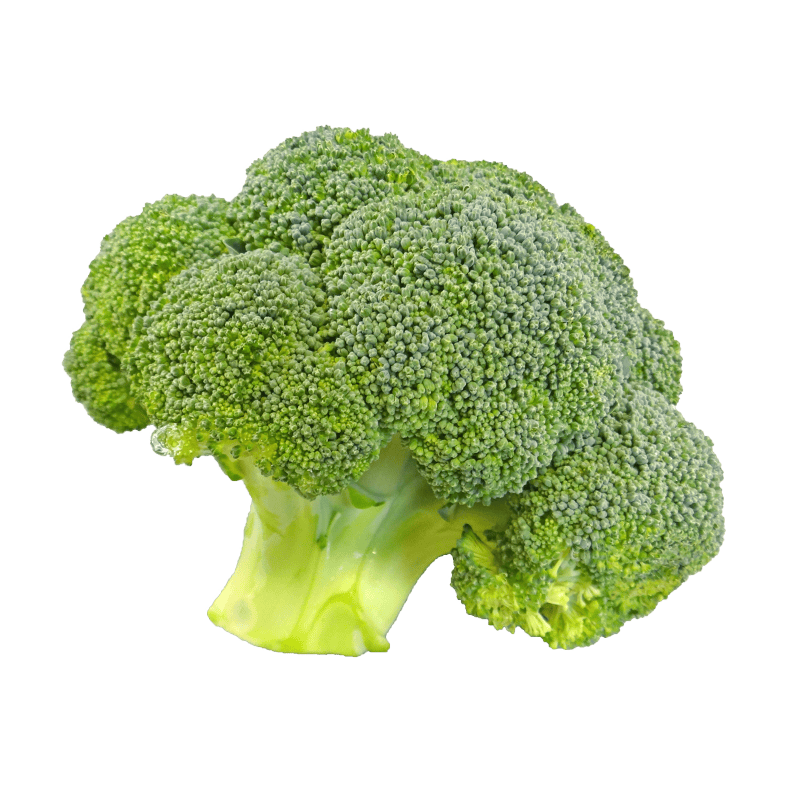 Fresh food vegetable