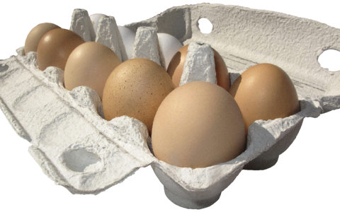 Lots of eggs egg packaging brown eggs
