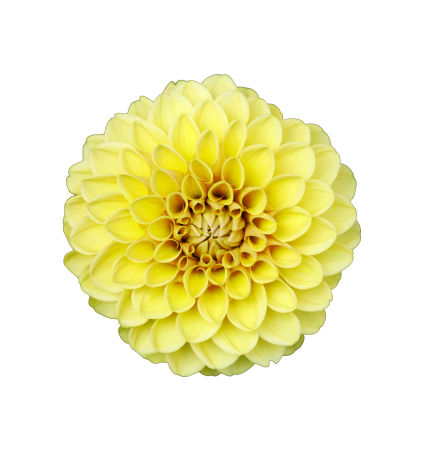 Natural transparent background transparent images