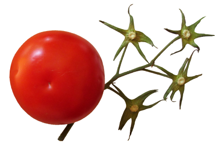 Organic healthy diet