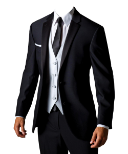 Man elegant suit