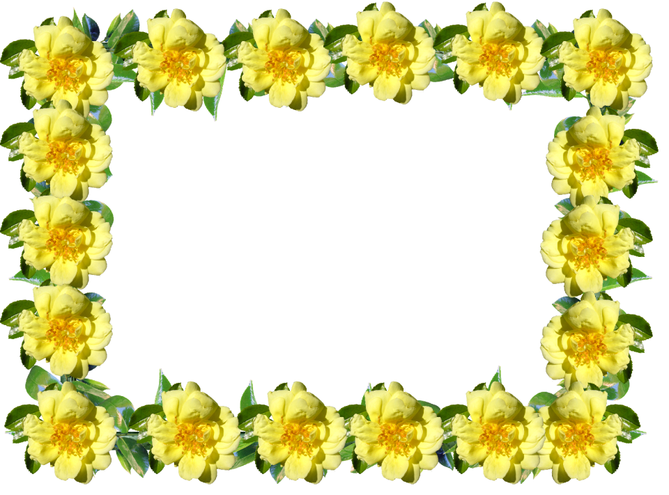 Yellow floral decoration