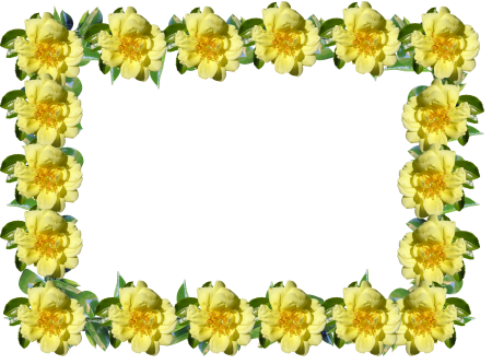 Yellow floral decoration