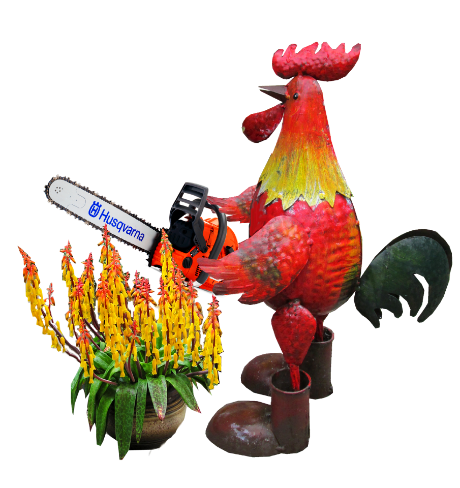 Pruning chain saw plant