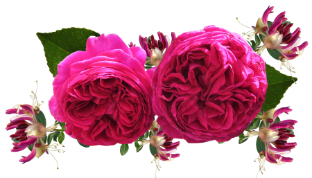 Fragrant arrangement cut out