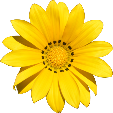 Yellow beach holiday