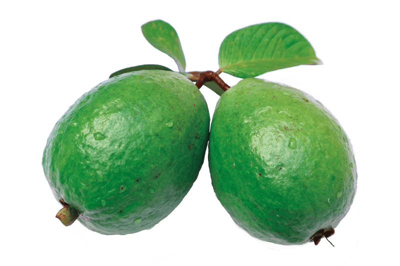 Leaf green guava png