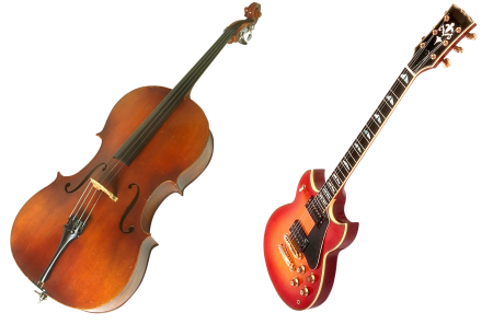 Stringed instruments music musical instrument