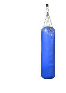 Punching bag blue boxing