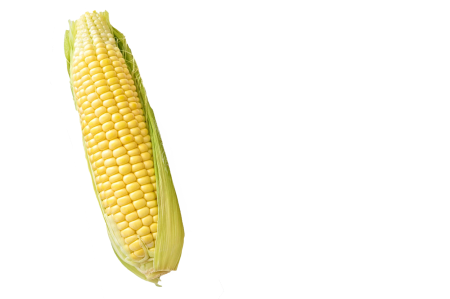 White background food