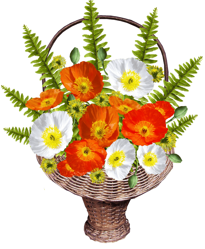 Ferns flowers arrangement