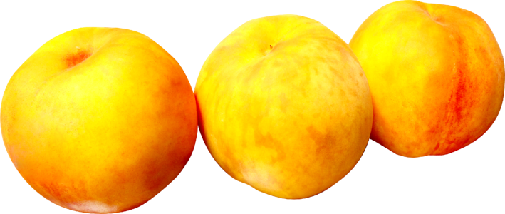 Fruit peach the ecliptic