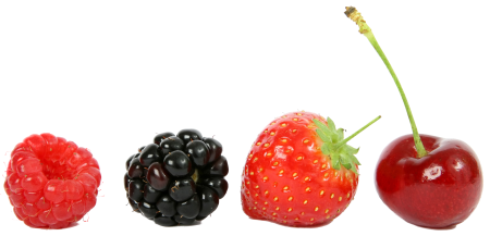 Blackberries isolated fruits
