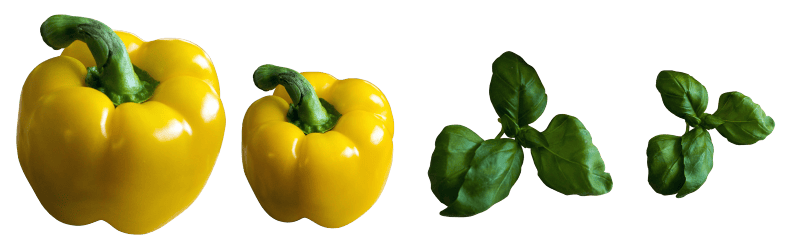 Vegetables background paprika