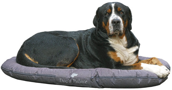 Herding dog dog pillow pillow