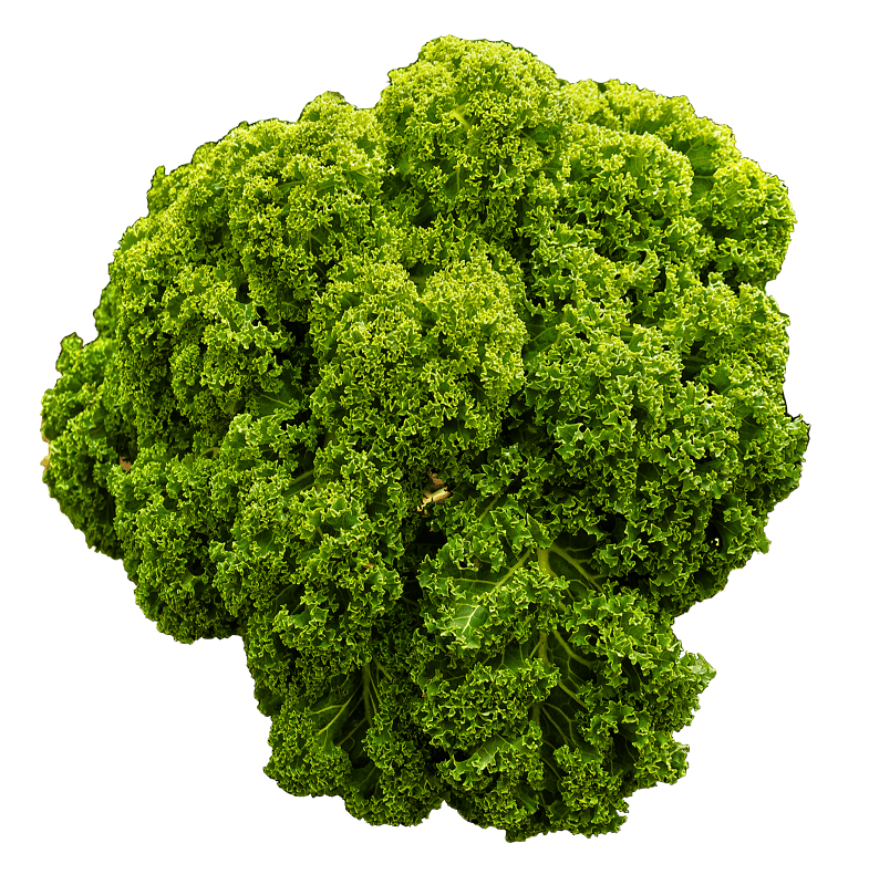 Kohl ruffled vegetables
