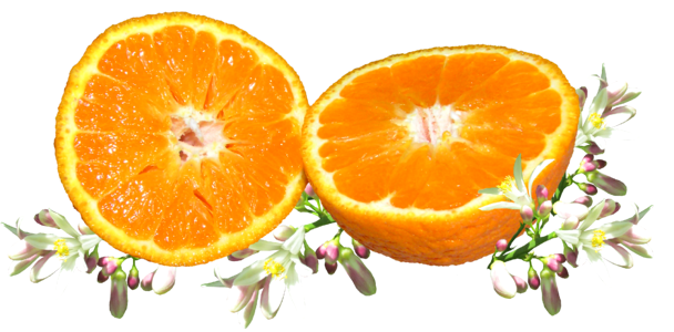 Citrus food vitamin