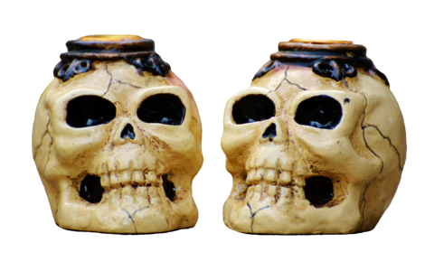 Skull skull bone weird