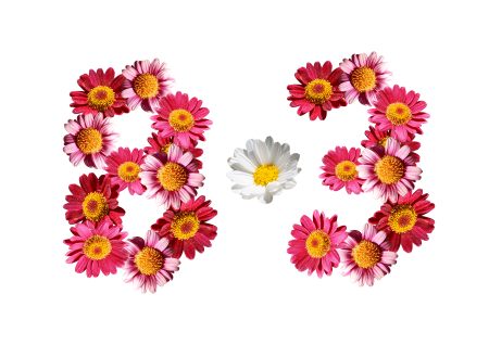 Background flower pear