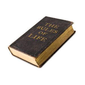 Rules of life rule book the rules of life