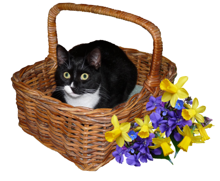 Basket spring flowers cut out
