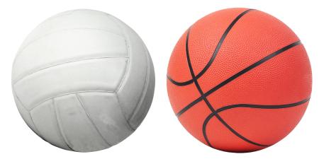 Game basket net