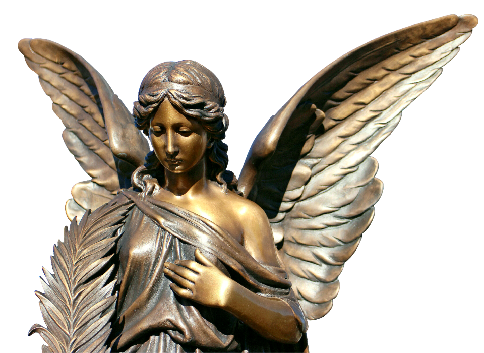 Angel harmony wing