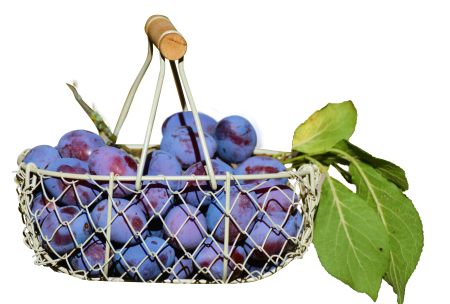 Food healthy vitamins