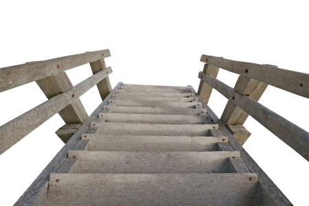 Emergence rise wood