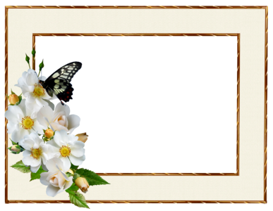White rose butterfly decoration