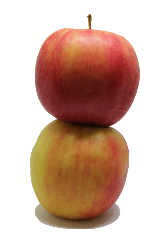 Fresh healthy nutrition