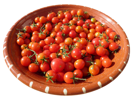 Plate bowl craft