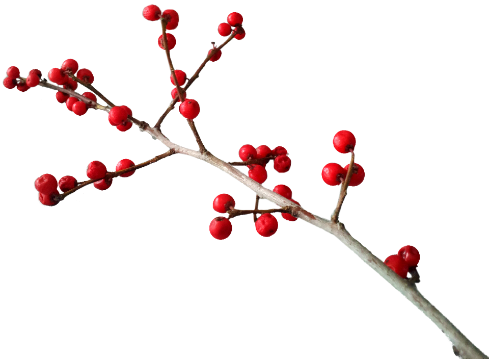 Deco berry red branch