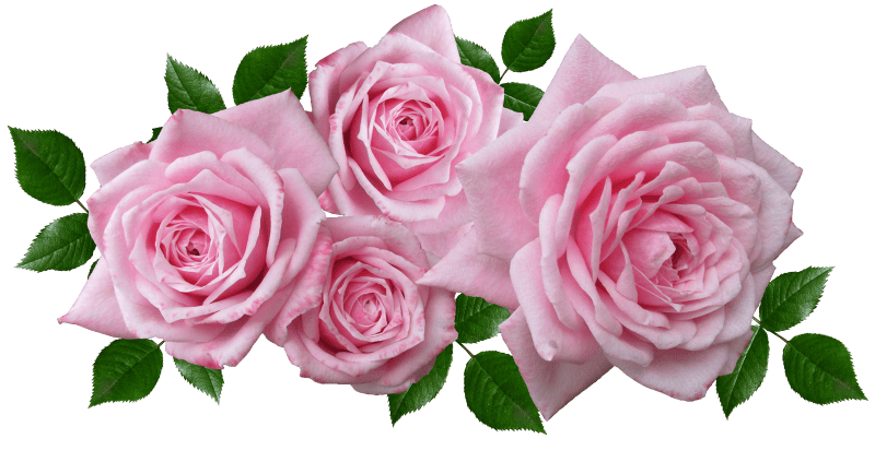 Arrangement romantic garden