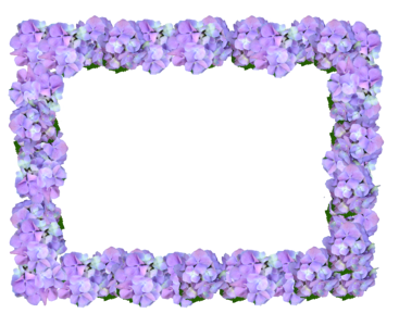 Decoration hydrangea floral
