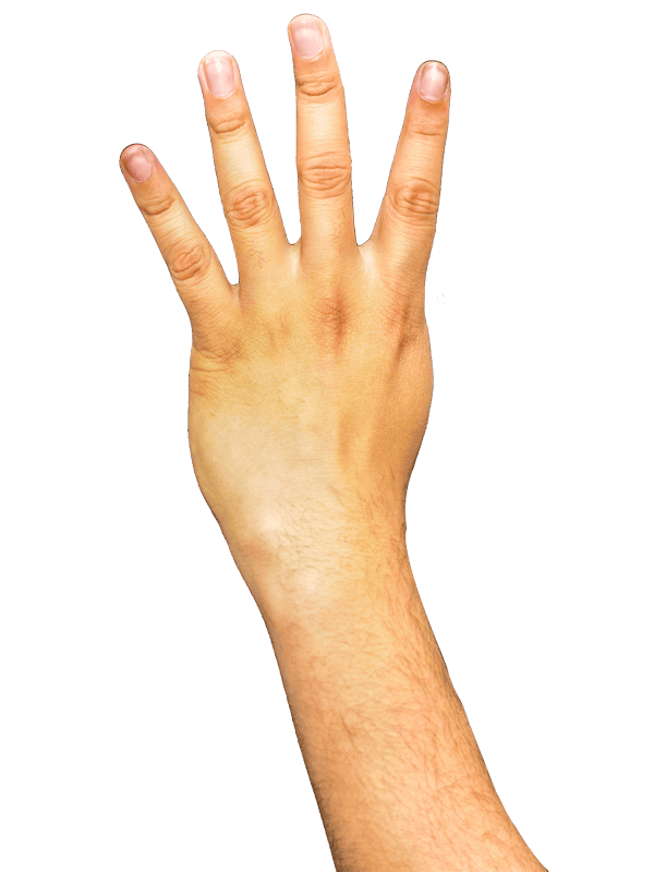 Fingers arm png