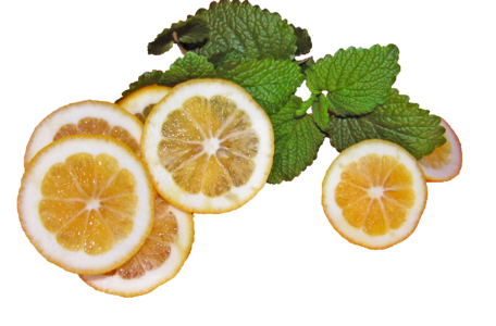 Lemon balm herb refreshment