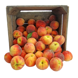 Amish crate fruit