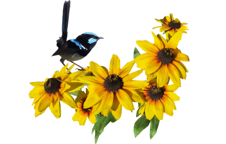 Yellow flowers cut out