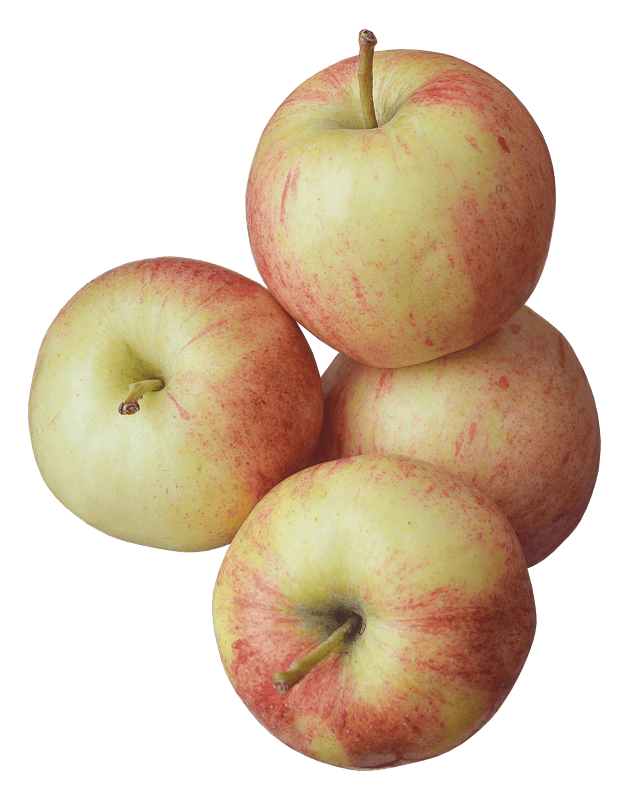 Food delicious apple