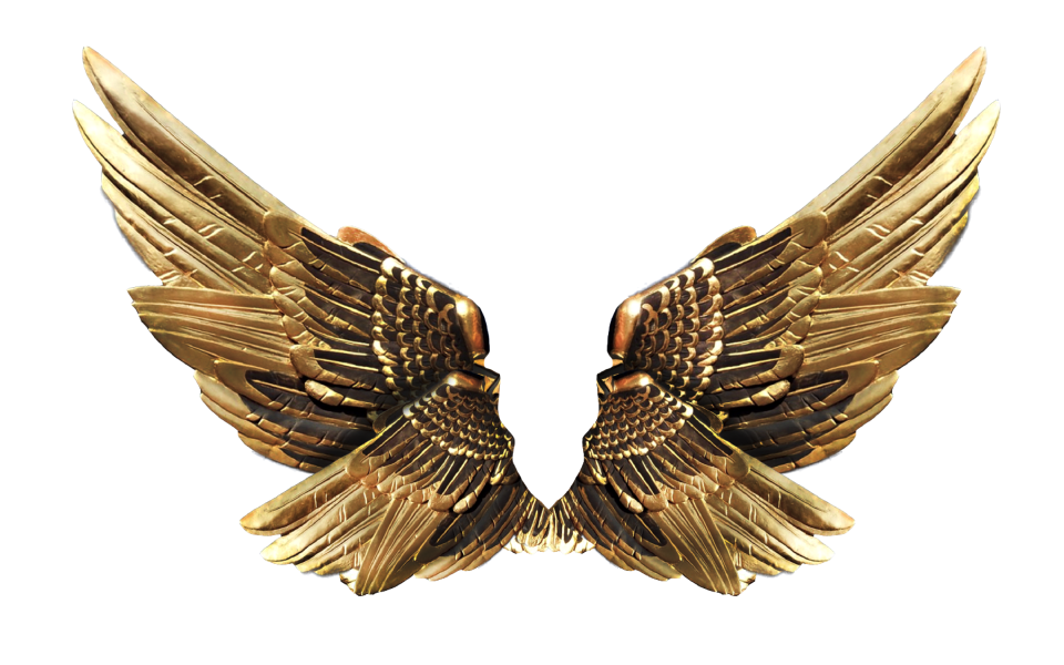 Wings gold fly