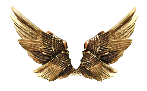 Wings gold fly
