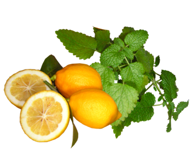 Healthy food lemon balm
