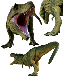 Paleontology jurassic tyrannosaurus