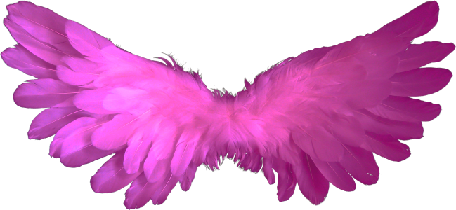 Heaven angel wings religion